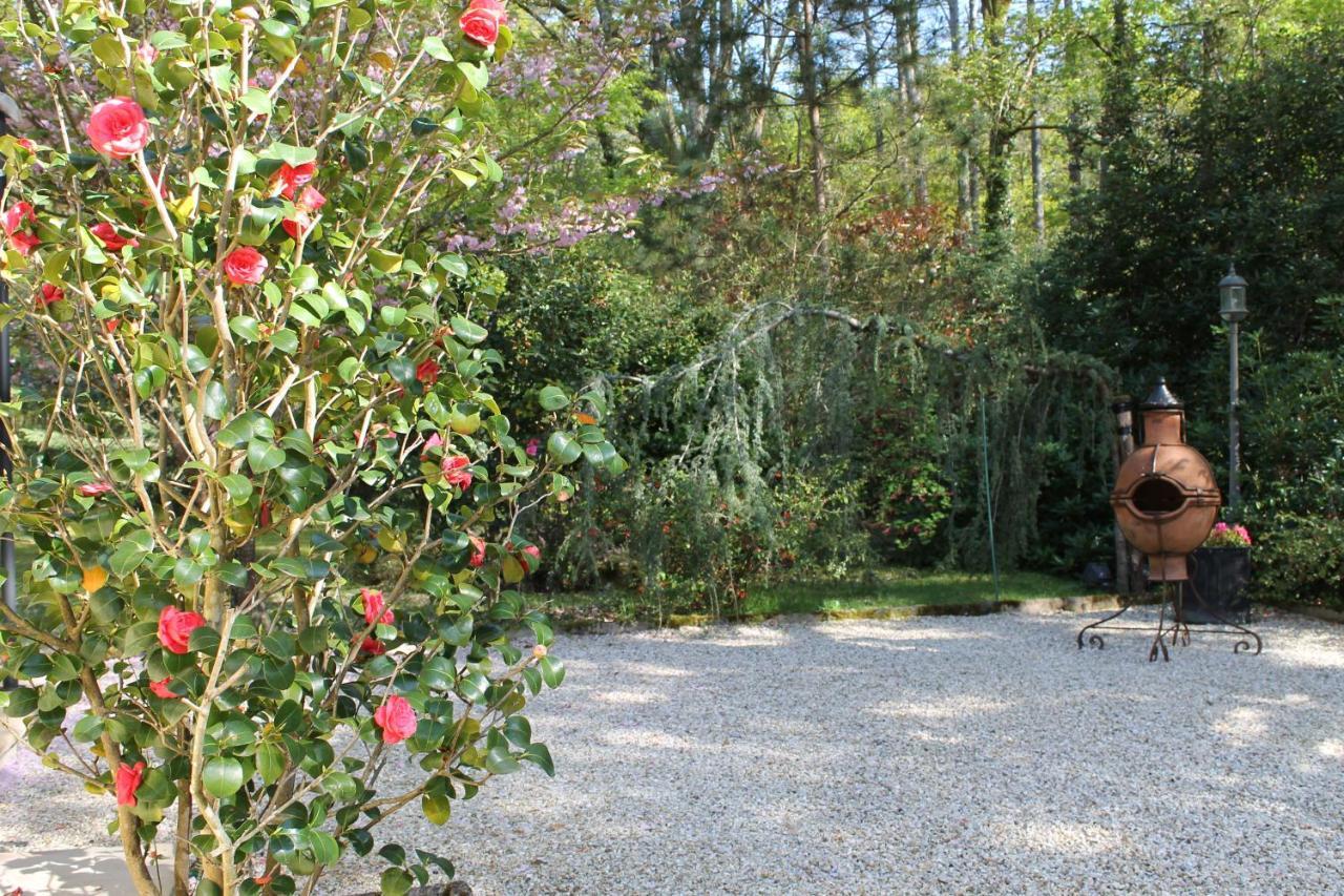 Chambres D'Hotes La Brilleve Lamotte-Beuvron Buitenkant foto